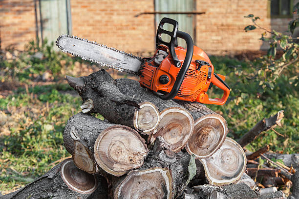 Best Best Tree Removal Services  in Johnson, AR